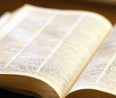 Glossary of terms